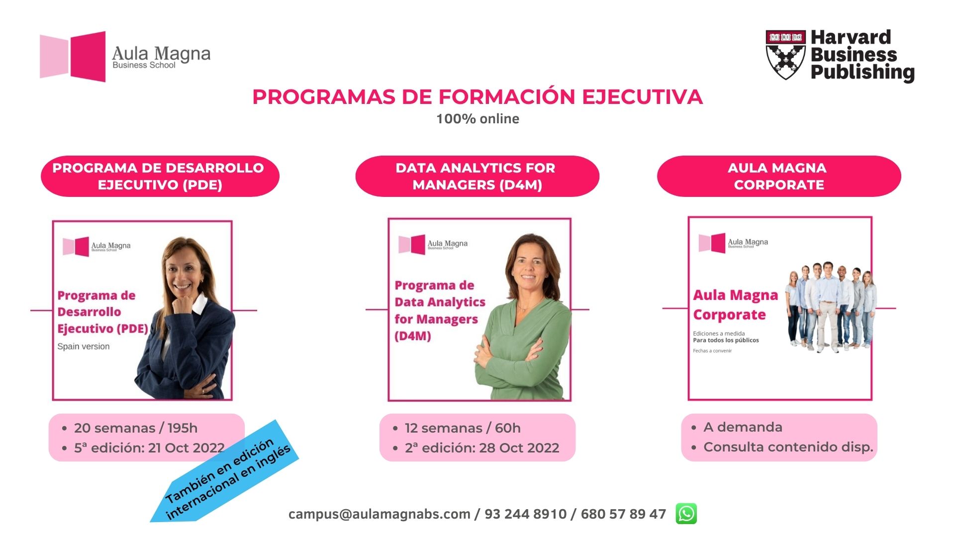 Company Flyer horizontal 2