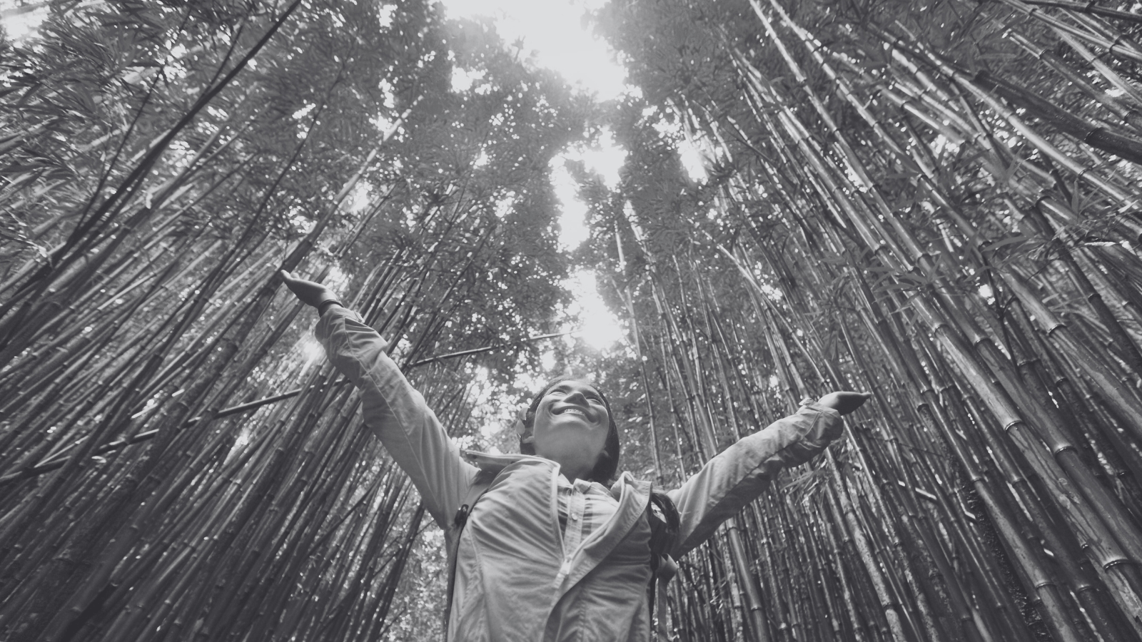 Sustainability Sostenibilidad y Nuevos modelos de economia AMBS Aula Magna Business School programa online